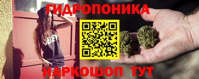 apvp Аргун