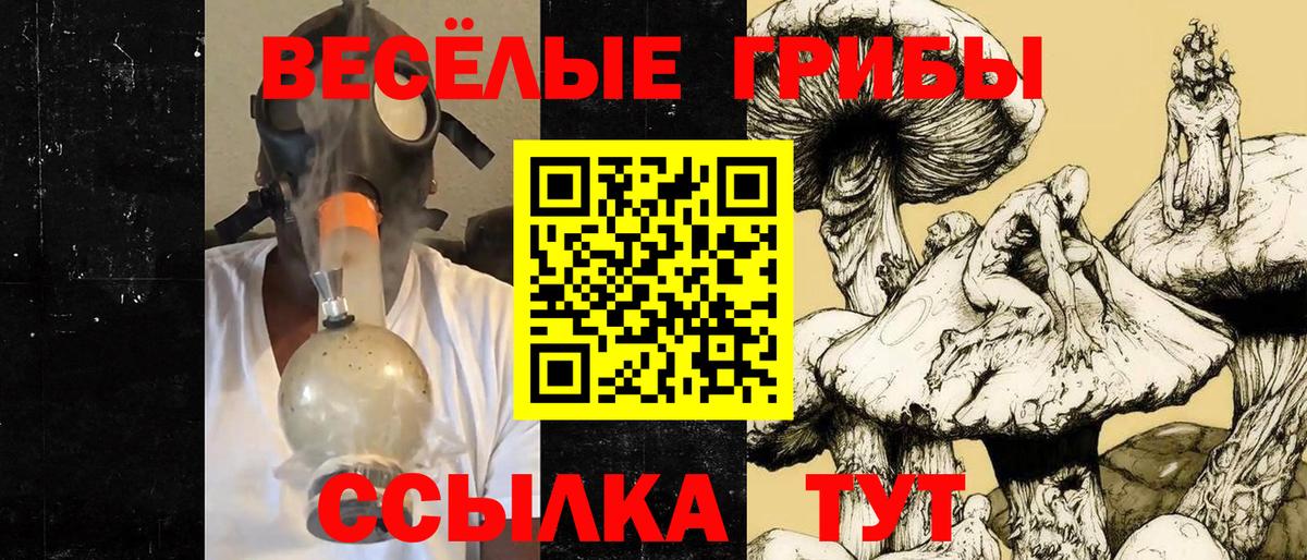 Псилоцибиновые грибы Psilocybine cubensis Братск