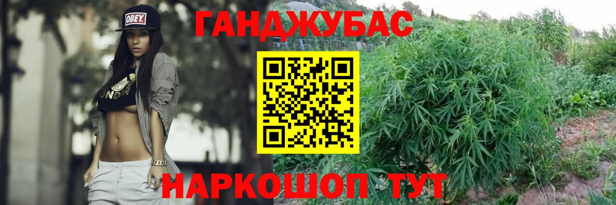 Каннабис планчик Братск